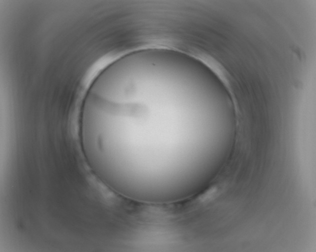 X0000114011104200910161727