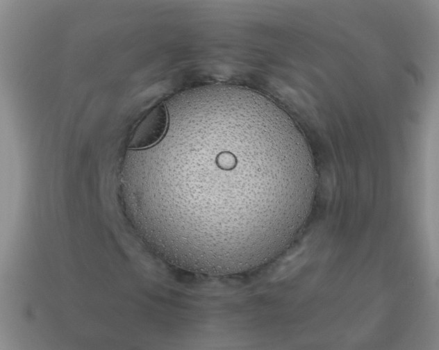 X0000114011105200910161726