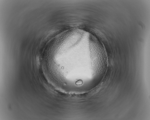 X0000114011106200910161726