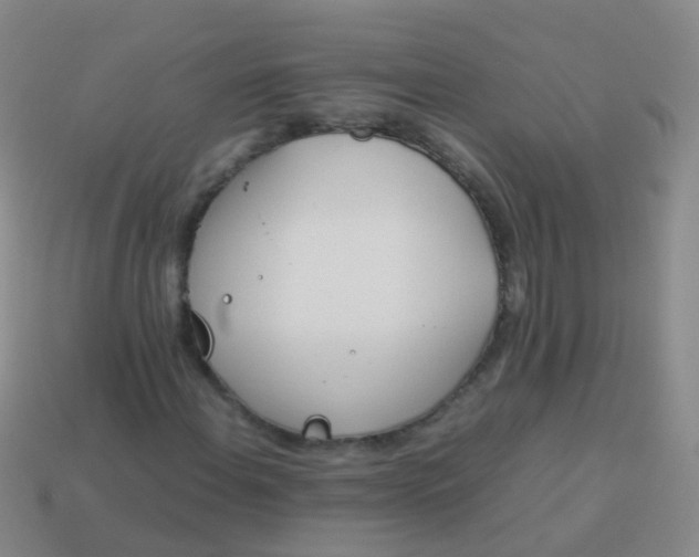 X0000114011108200910161726