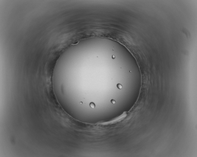 X0000114011109200910161726