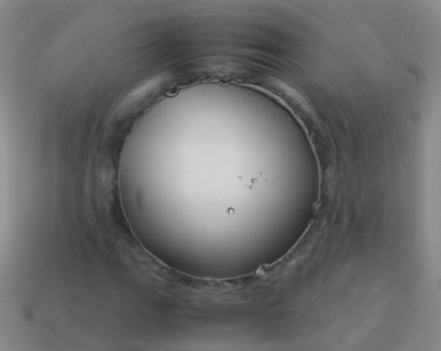 X0000114011111200910161726