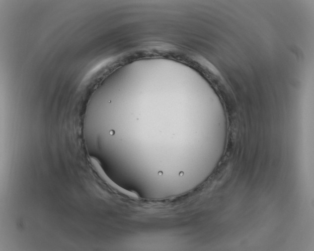 X0000114011112200910161726