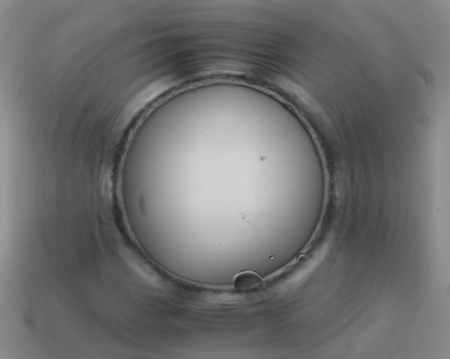 X0000114011113200910161726