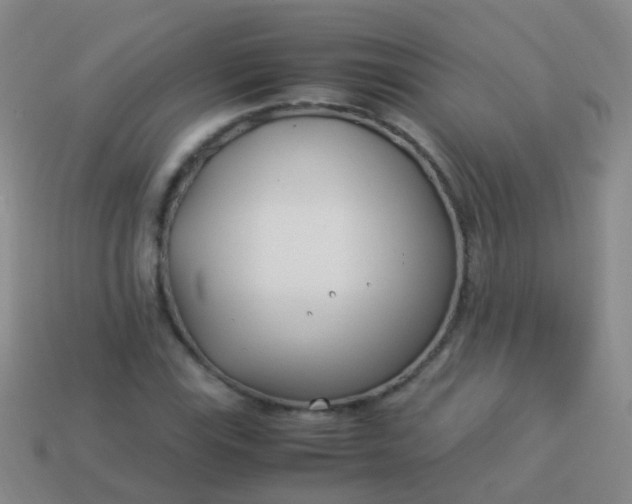 X0000114011115200910161726