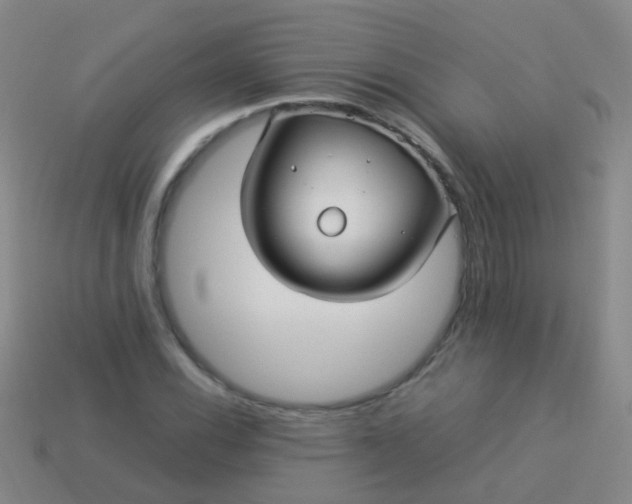 X0000114011116200910161726