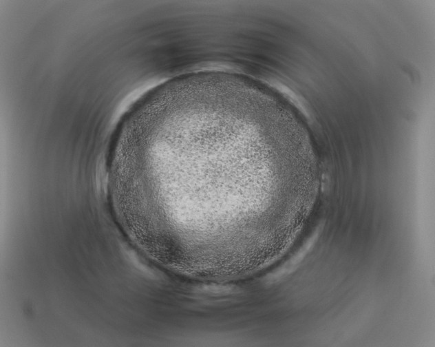 X0000114011117200910161726