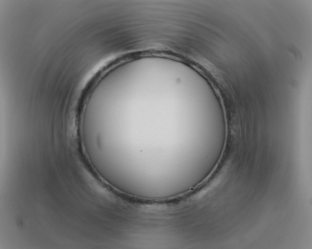 X0000114011118200910161726