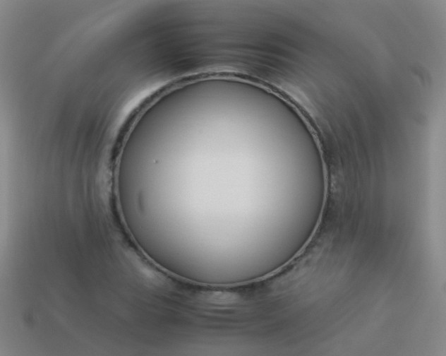 X0000114011119200910161726