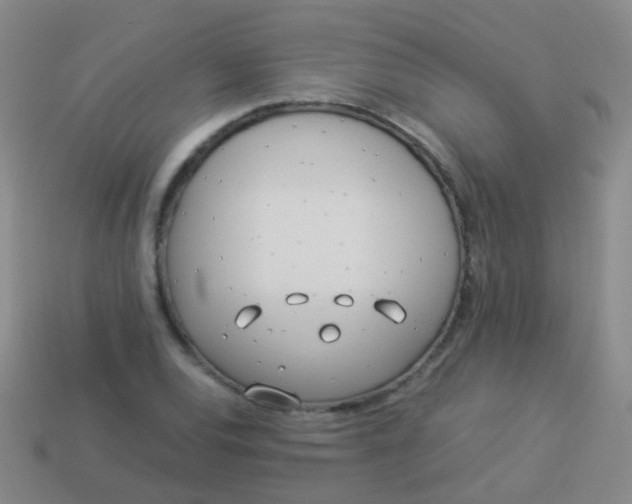 X0000114011120200910161726