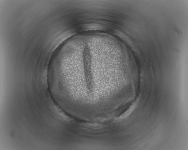 X0000114011121200910161726