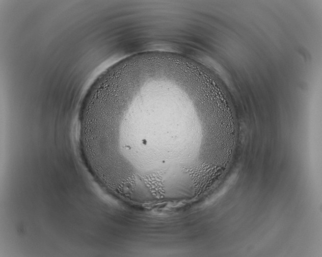 X0000114011125200910161726