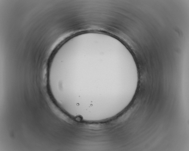 X0000114011126200910161726