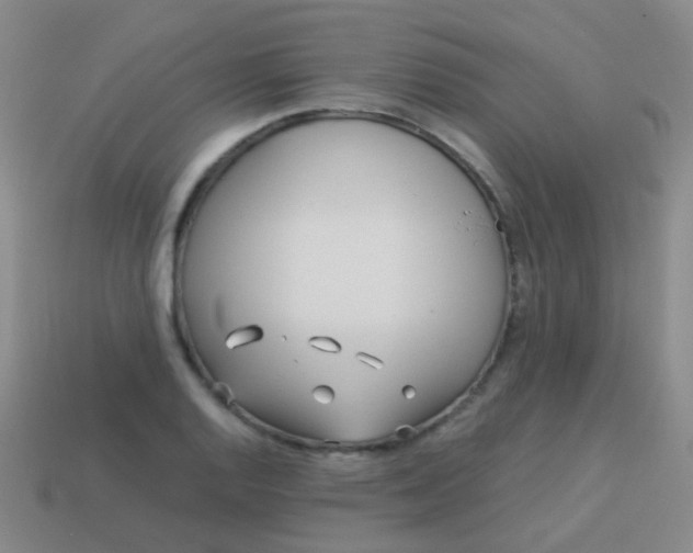 X0000114011128200910161726