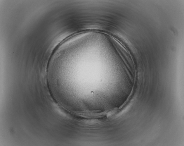 X0000114011129200910161726