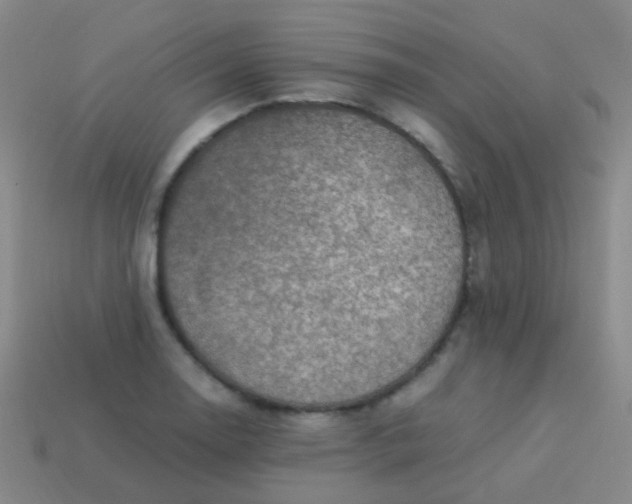 X0000114011130200910161726