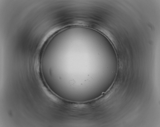 X0000114011131200910161726