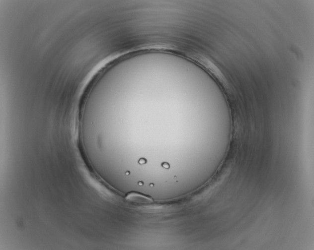 X0000114011132200910161726