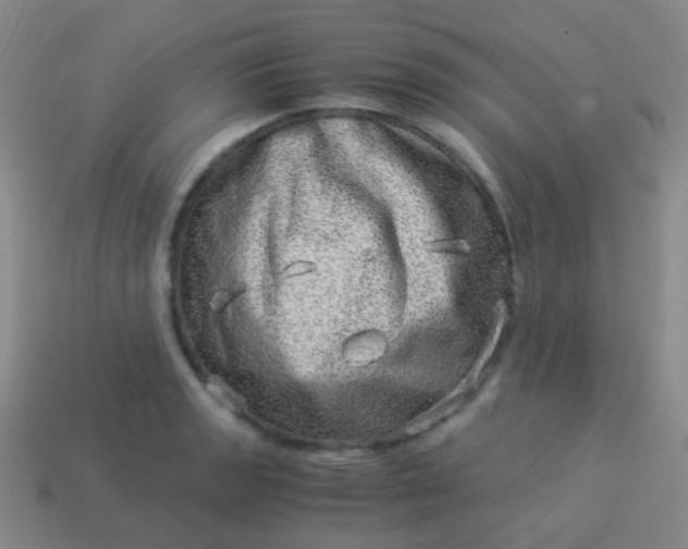 X0000114011133200910161726