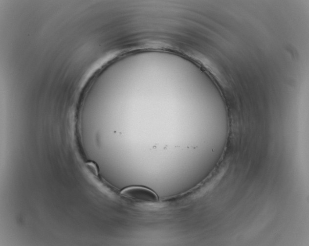 X0000114011134200910161726