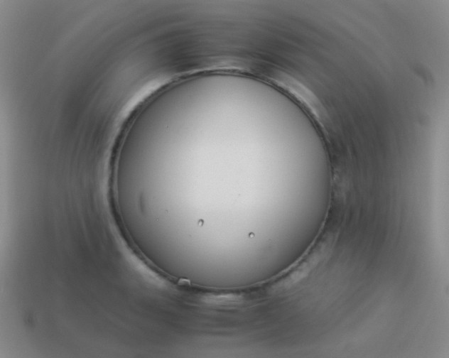 X0000114011135200910161726