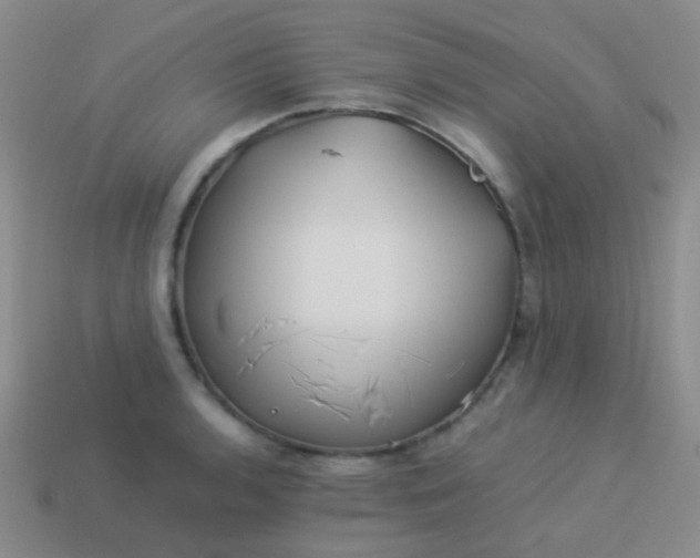 X0000114011136200910161726