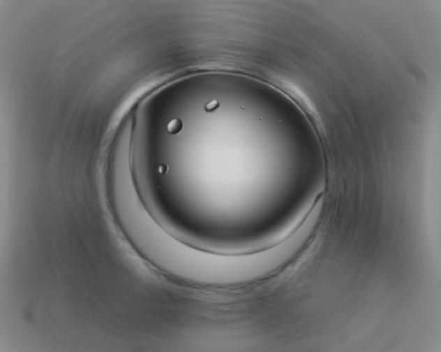 X0000114011138200910161726