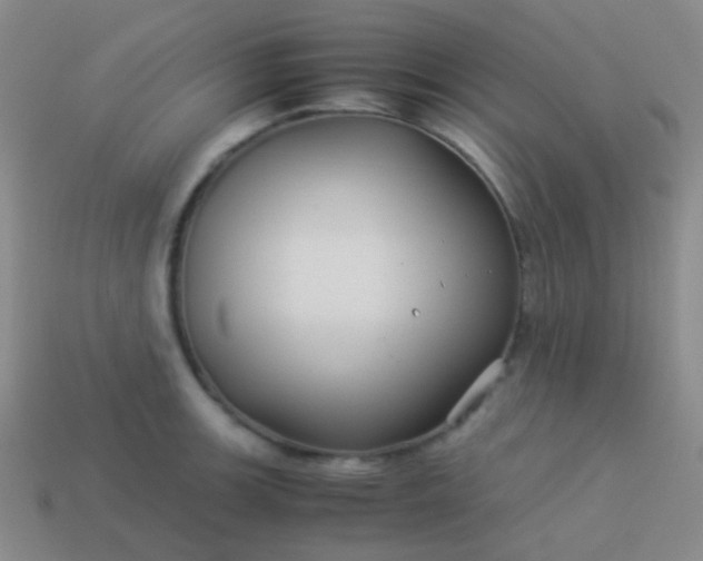 X0000114011139200910161727