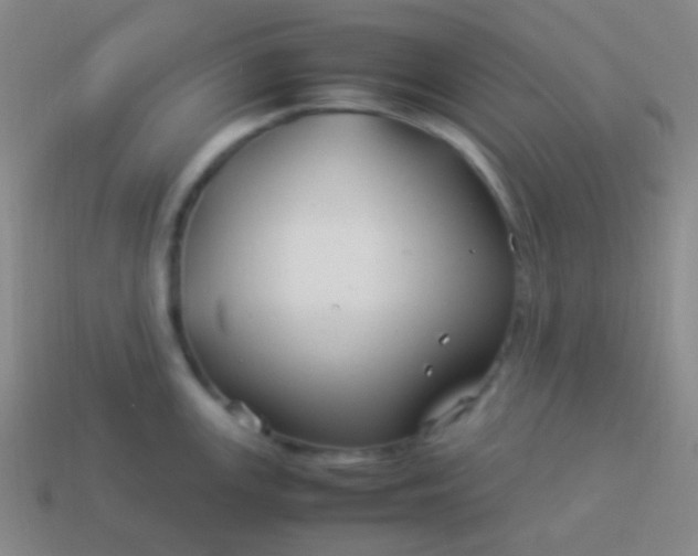 X0000114011147200910161727