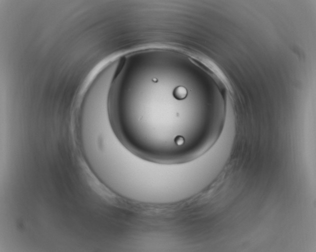 X0000114011148200910161727