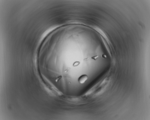 X0000114011149200910161727