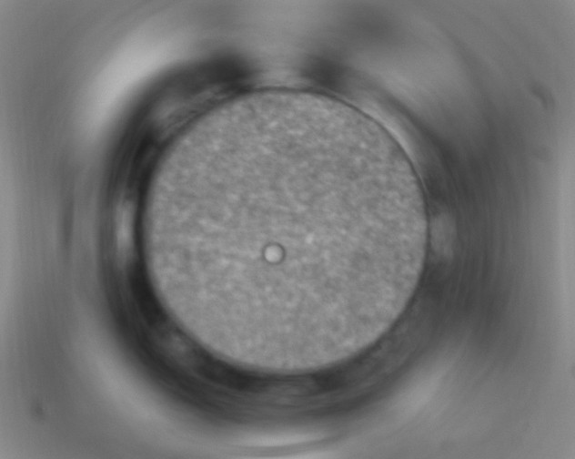 X0000114011150200910161727