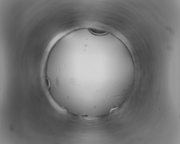 X0000114011152200910161727