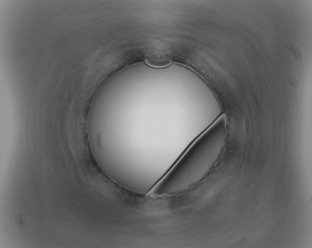 X0000114011153200910161726