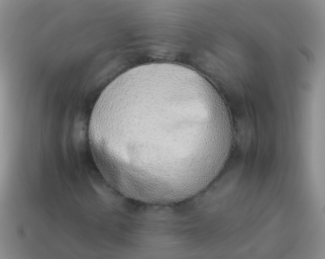 X0000114011154200910161726