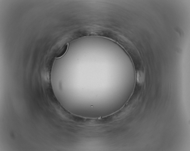 X0000114011155200910161726