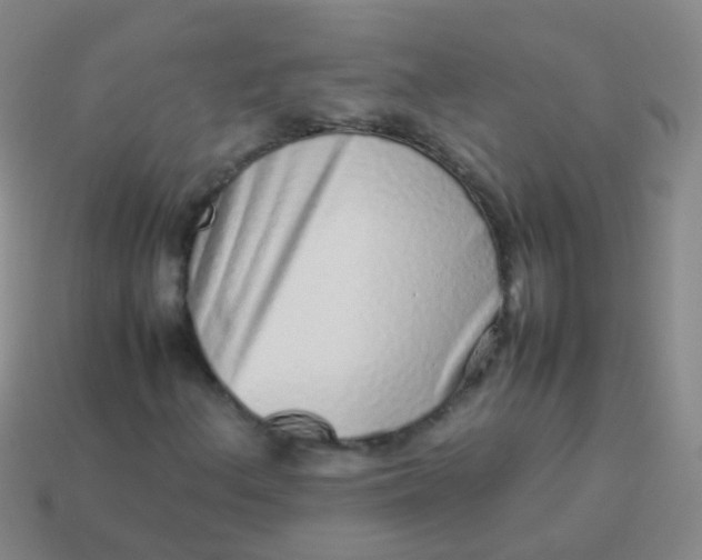 X0000114011156200910161726