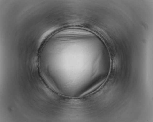 X0000114011164200910161726