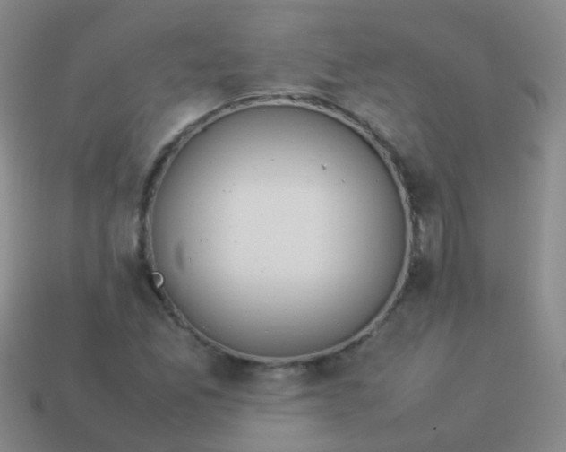 X0000114011165200910161726