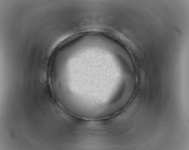 X0000114011166200910161726