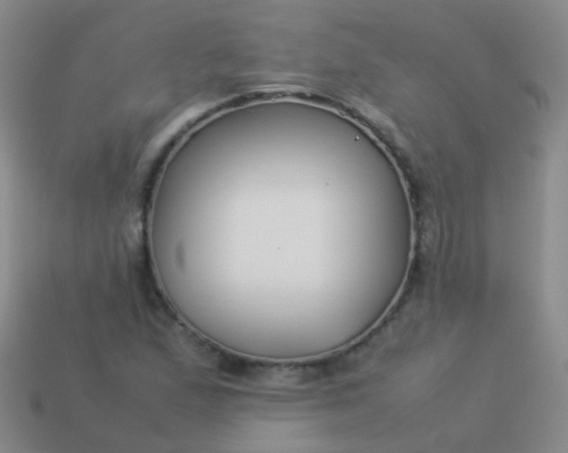 X0000114011167200910161726