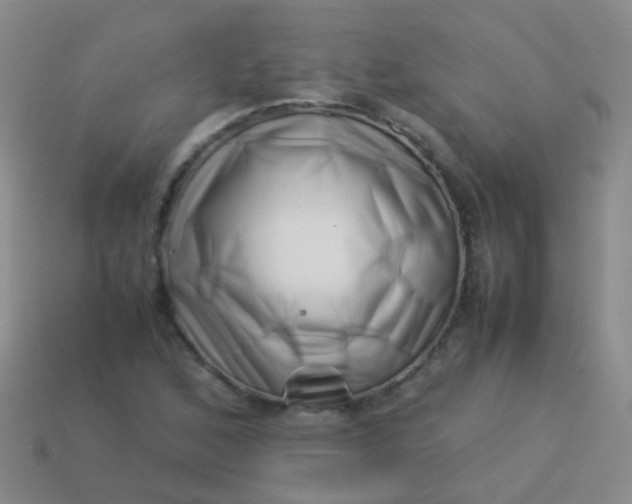 X0000114011168200910161726