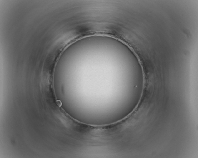 X0000114011169200910161726