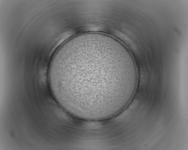 X0000114011170200910161726