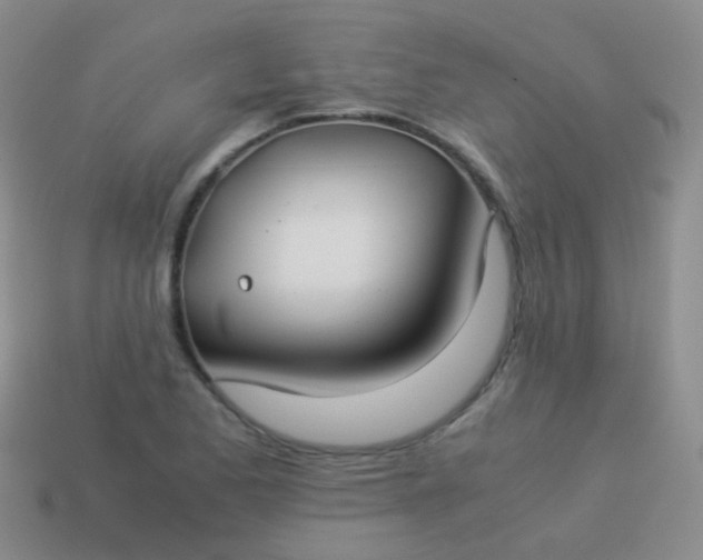 X0000114011173200910161726