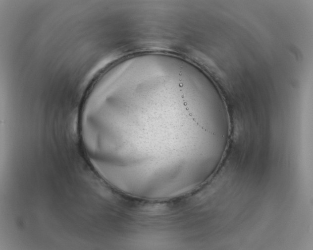 X0000114011174200910161726