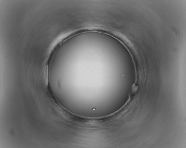 X0000114011175200910161726