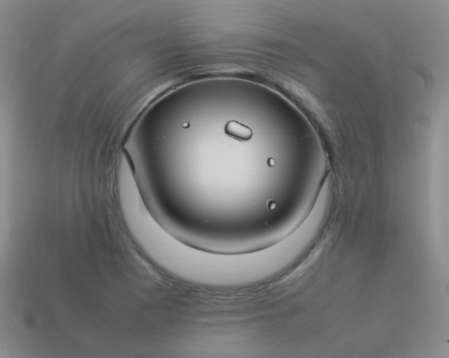 X0000114011177200910161726