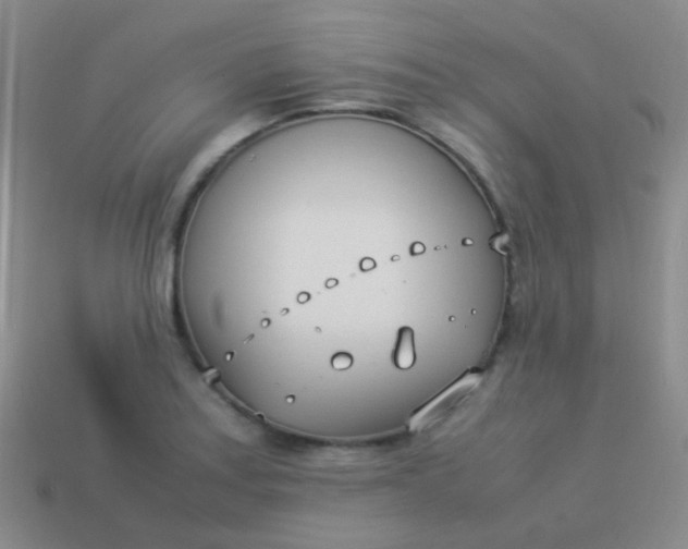 X0000114011179200910161726