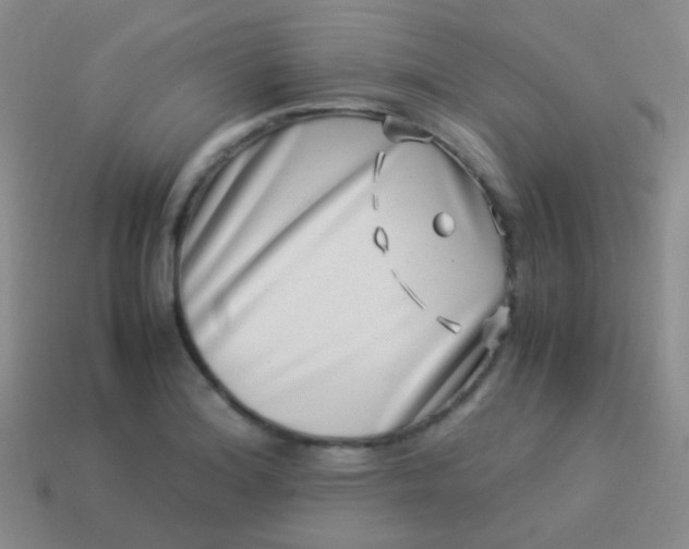 X0000114011180200910161726